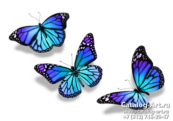  Butterflies 51